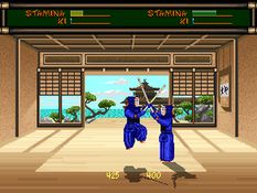 Budokan: The Martial Spirit Screenshot