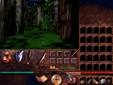 Lands of Lore III Screenshot
