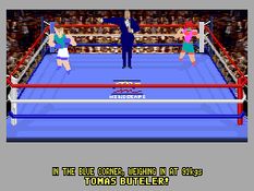 4D Sports Boxing Screenshot