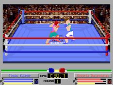 4D Sports Boxing Screenshot