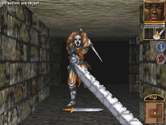 Anvil of Dawn Screenshot