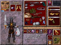 Anvil of Dawn Screenshot