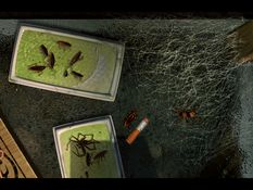 Bad Mojo Screenshot