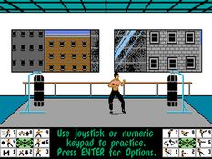 Bruce Lee Lives Screenshot