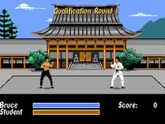 Bruce Lee Lives Screenshot