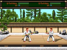 Budokan: The Martial Spirit Screenshot