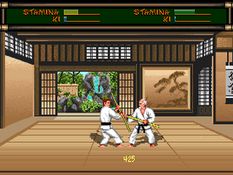 Budokan: The Martial Spirit Screenshot