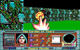 The Catacomb Abyss Screenshot
