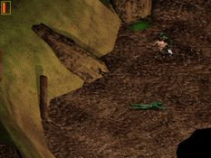 Druid: Daemons of the Mind Screenshot