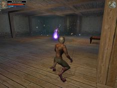 Dungeon Lords Screenshot