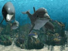 Ecco the Dolphin Screenshot