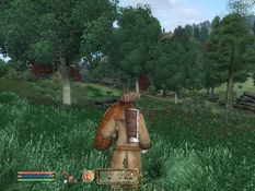 The Elder Scrolls IV: Oblivion Screenshot