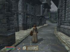 The Elder Scrolls IV: Oblivion Screenshot