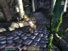 The Elder Scrolls IV: Shivering Isles Screenshot