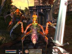 The Elder Scrolls IV: Shivering Isles Screenshot