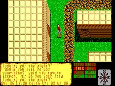 The Faery Tale Adventure Screenshot