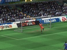 FIFA 09 Screenshot