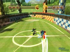 Harry Potter: Quidditch World Cup Screenshot