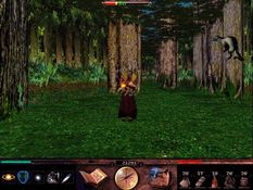 Lands of Lore III Screenshot