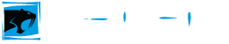 Saber Interactive