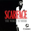Scarface: The World Is Yours Cover