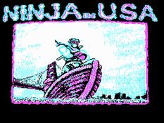 Ninja Gaiden Screenshot