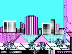 Ninja Gaiden Screenshot