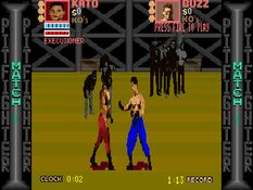 Pit-Fighter Screenshot