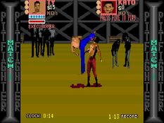 Pit-Fighter Screenshot