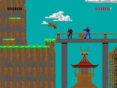 Shadow Knights Screenshot