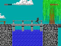 Shadow Knights Screenshot