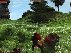 Two Worlds Screenshot