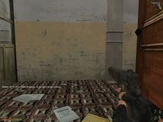 Vietcong 2 Screenshot