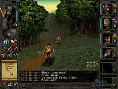 Wizards & Warriors Screenshot