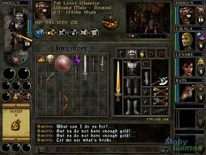 Wizards & Warriors Screenshot
